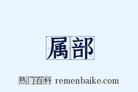 属部是什么意思的图片